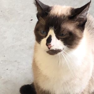 Meet your Posher, Gwen